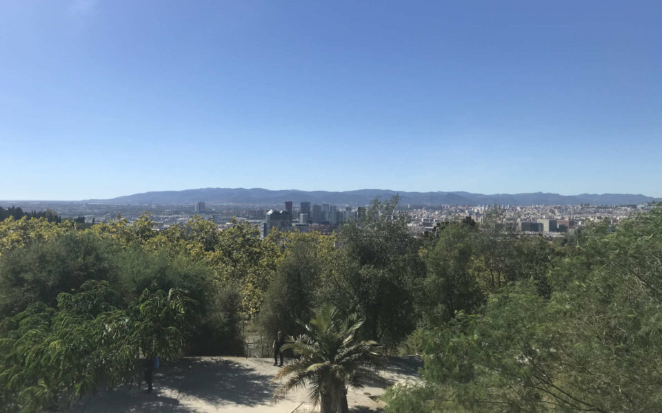 jagdschein barcelona botanik panorama