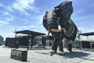 Der Bioparc Valencia – Lernort für Naturschutz und Artenschutz