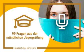 Die 99 Top-Fragen und Merksprüche für die mündliche Jägerprüfung