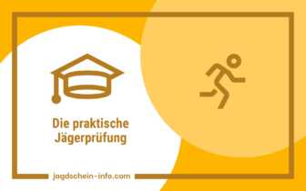 Die praktische Jägerprüfung – Waffenhandhabung & Schießen