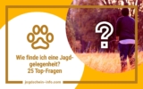 Wie finde ich eine Jagdgelegenheit – 25 Top-Fragen zur Gesprächsführung mit Jagdpächtern