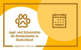 Jagd- und Schonzeiten der Bundesländer in Deutschland