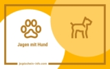 Jagen mit Hund – Benötige ich einen Jagdhund?