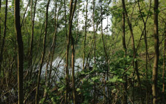 Bleischrot in Feuchtgebieten – Ab 16. Februar 2023 tritt neue EU-Regelung in Kraft