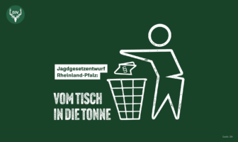 Grüne Ideen – Der neue Jagdgesetz-Entwurf in Rheinland-Pfalz